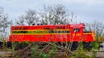 FCEN 1802 hiding behind the shrubbery